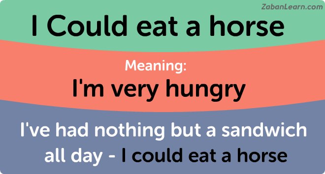 آموزش اصطلاحات انگلیسی، I could eat a horse